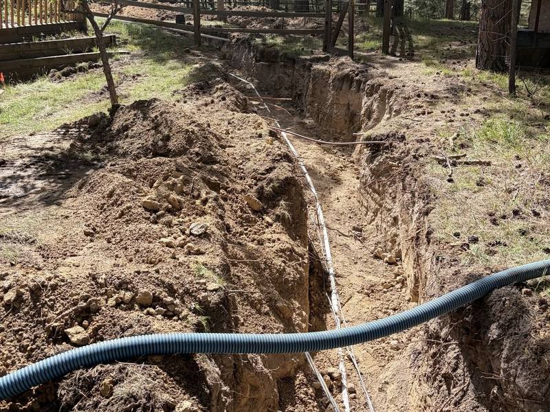 Long excavated trench running through a wooded lot, with a green hose laid across it